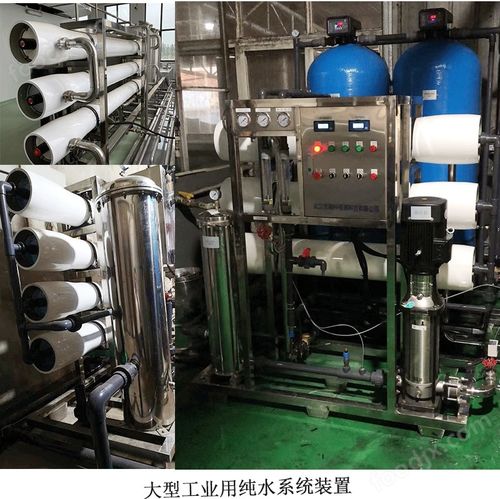 超純水設(shè)備與物聯(lián)網(wǎng)養(yǎng)魚凈水系統(tǒng) 現(xiàn)代化循環(huán)水養(yǎng)殖的未來(lái)